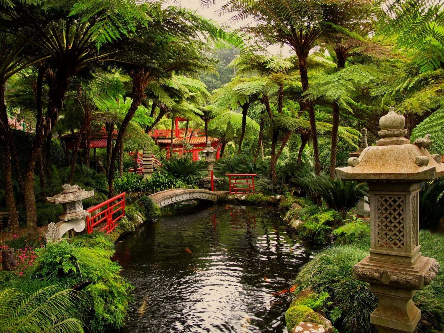 Тропический сад