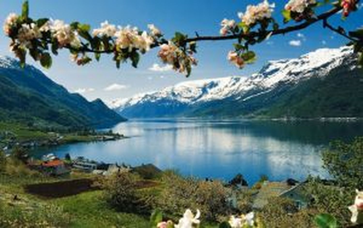 Горное озеро и цветущая ветка