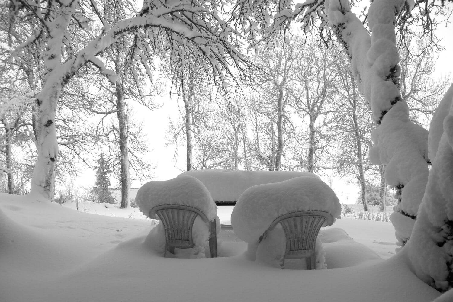 Снег на стульях