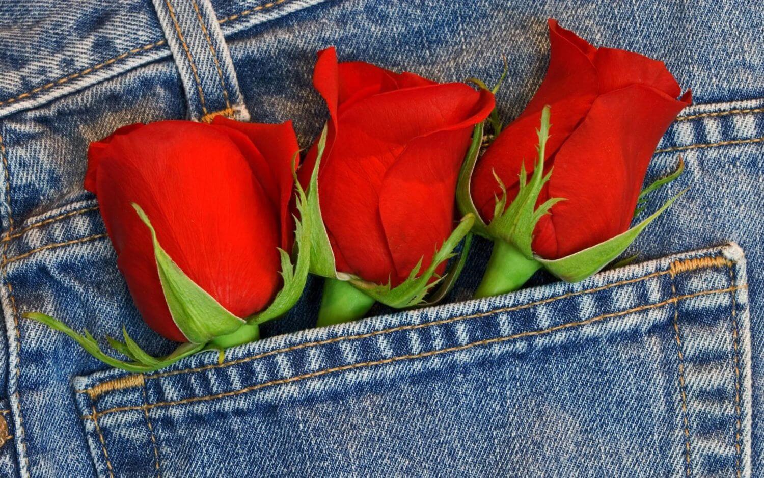 Три розы в джинсах
