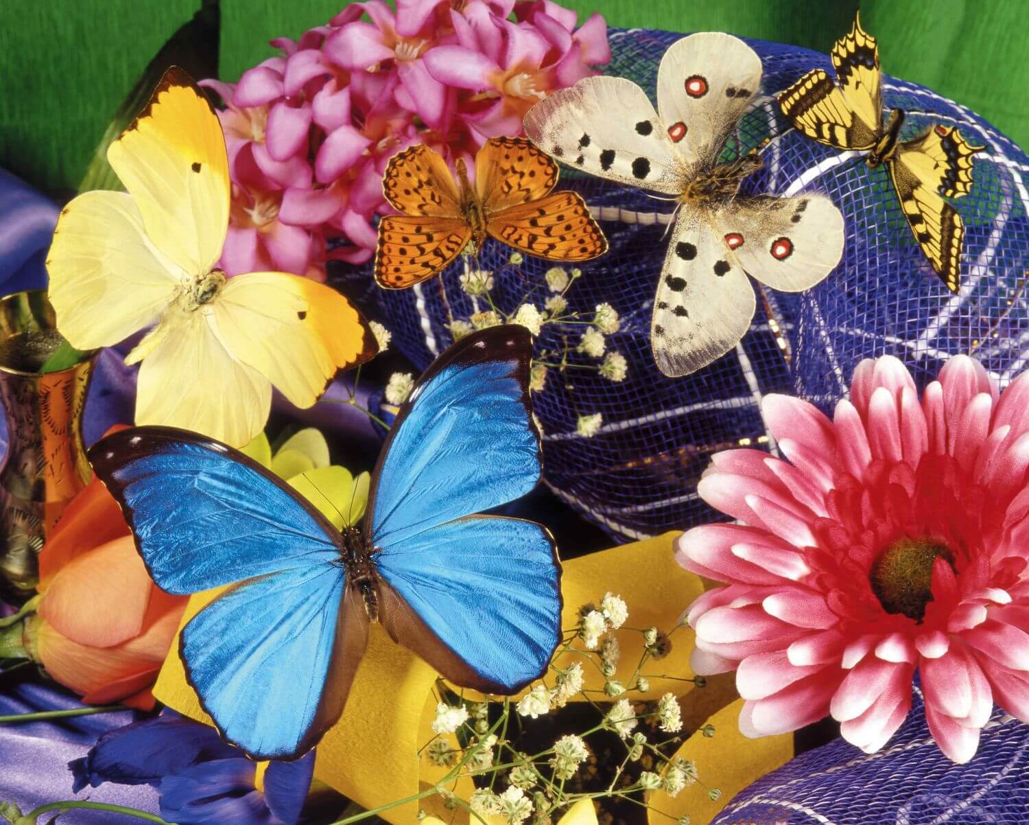 Описание картины толстого букет цветов бабочка
