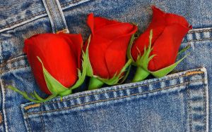 Три розы в джинсах