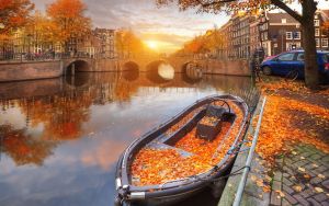 Осень в Амстердаме