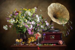 Цветы и граммофон