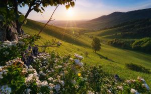 Белокуриха