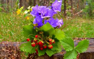 Букет земляники