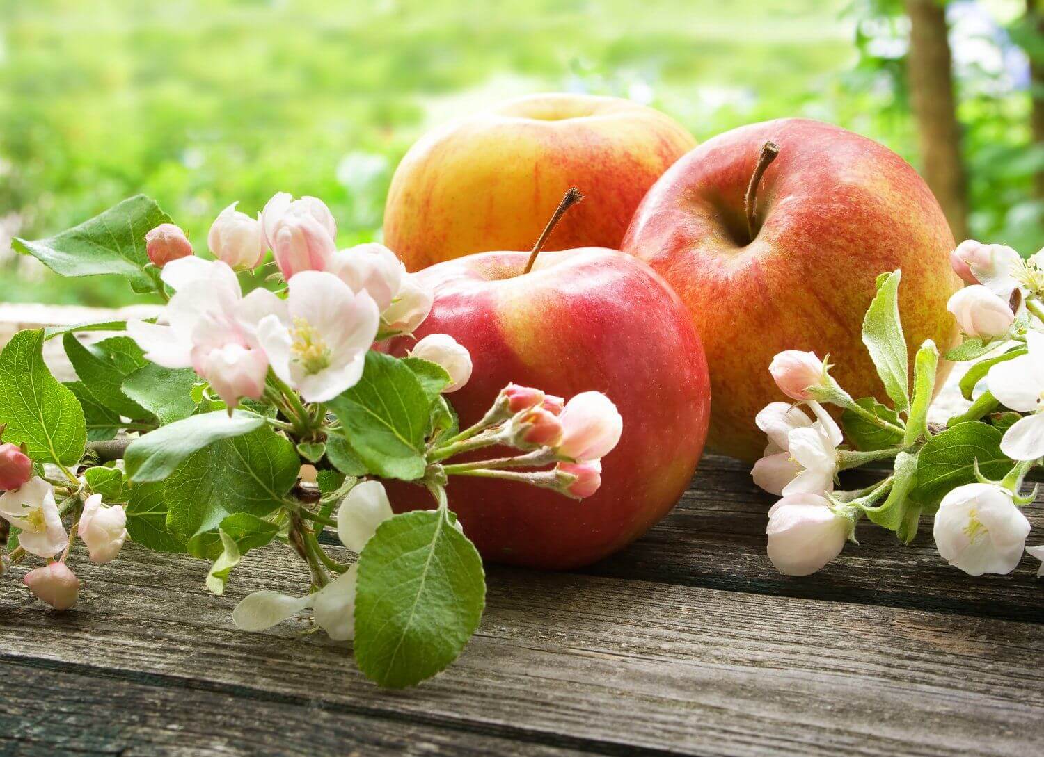 Яблоки с цветами