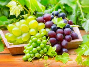 Разный виноград