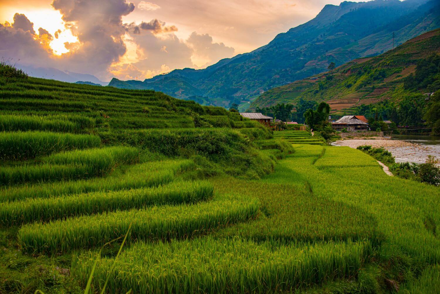 Природа Вьетнама Фото