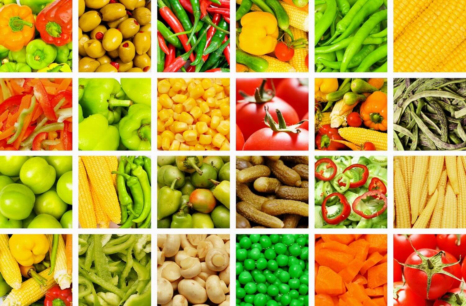 Коллаж из фруктов и овощей