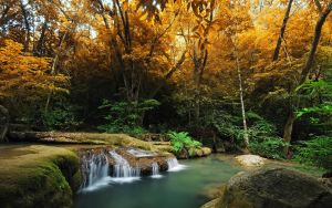 Осенний лес и водопад
