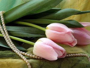 Розовые тюльпаны и жемчуг