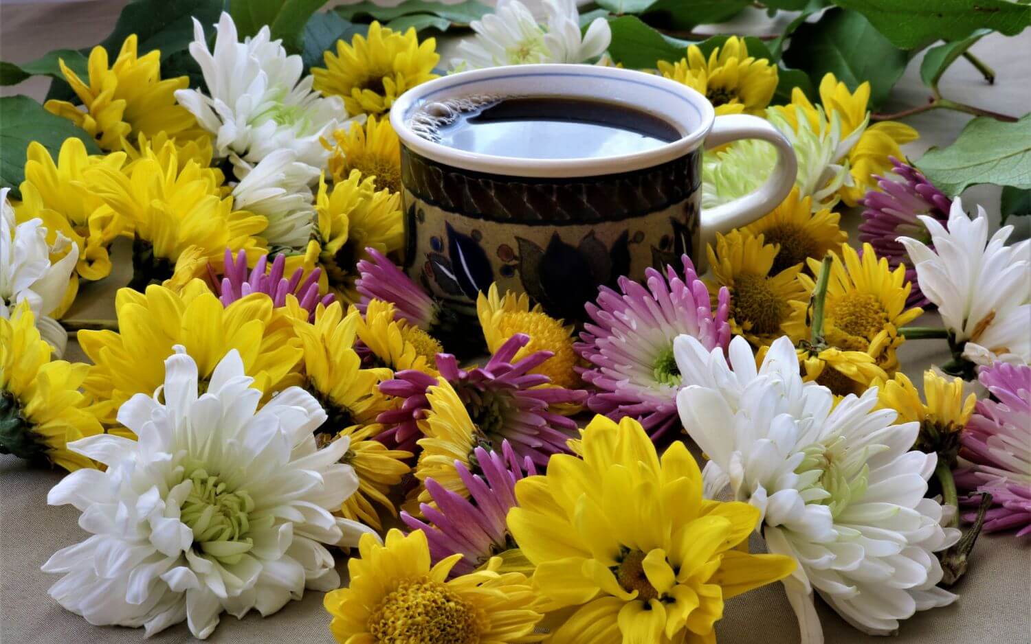 Хризантемы и кофе