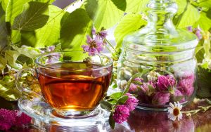 Чай с клевером