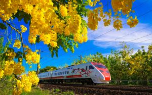 Поезд и цветы