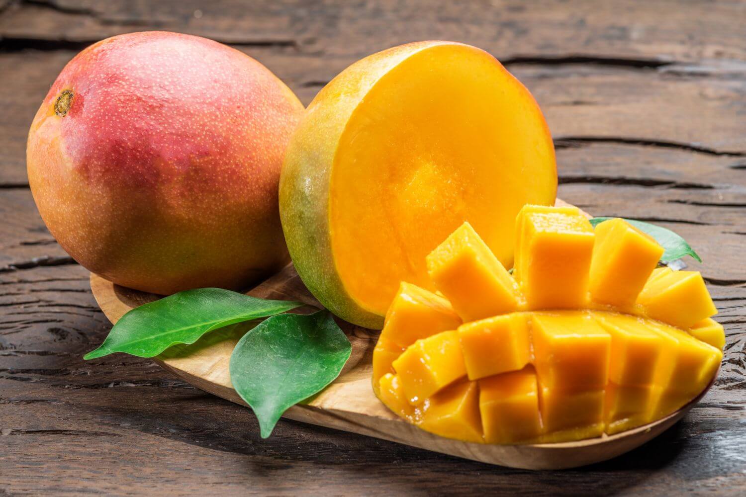 Как выглядит манго фото фрукт