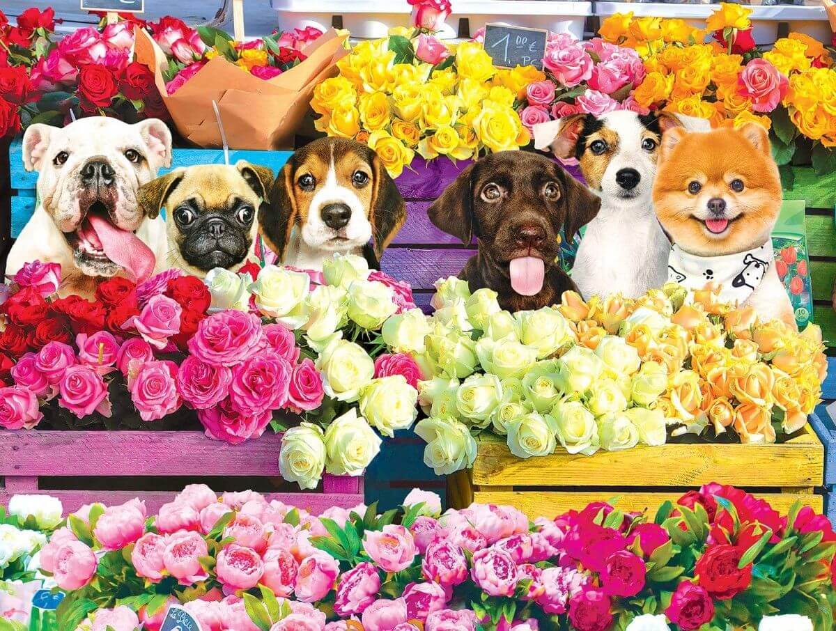 Дом собака цветы