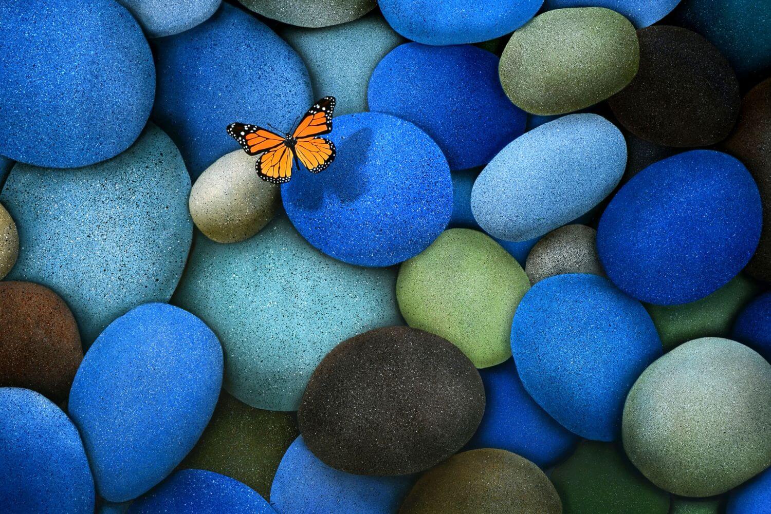 Бабочка и камни
