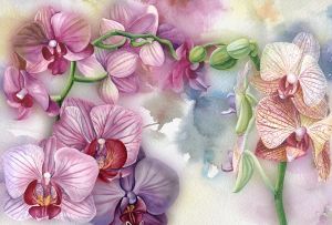 Картина с орхидеей