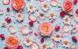 Розы и ромашки