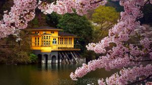 Синдзюку-гёэн