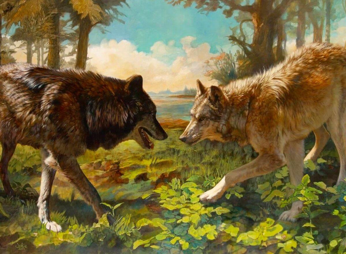 Два брата волка
