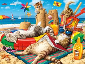 Коты на пляже