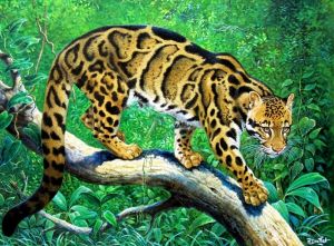 Тайваньский дымчатый леопард