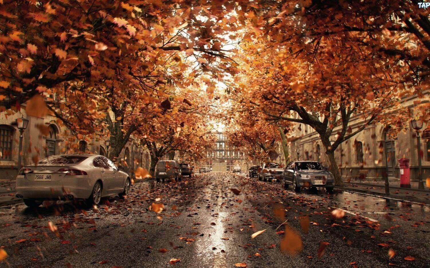 Осень на дороге