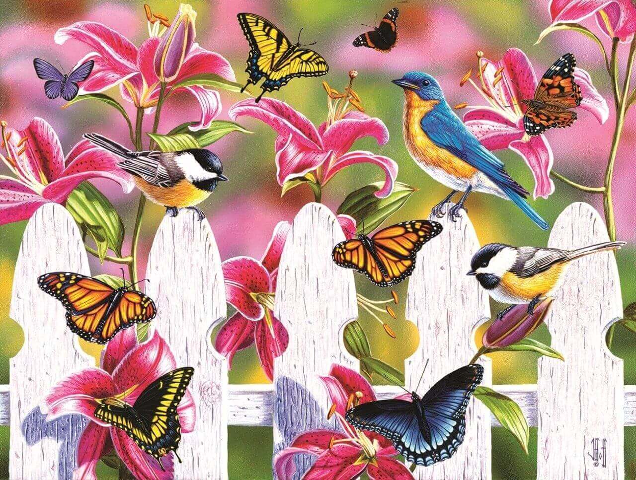 Птицы и бабочки