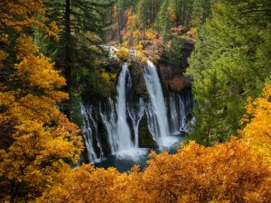 Осенний водопад в лесу