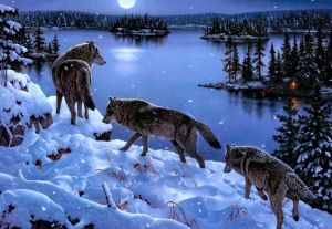 Три волка у реки