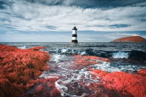 Красные водоросли и маяк