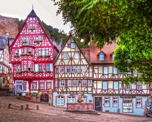 Полосатый Мильтенберг