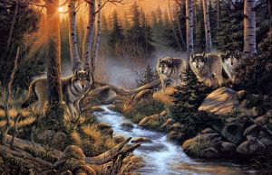 Волки в лесу