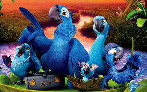 Синие попугаи