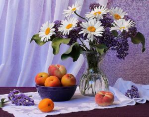 Ромашки и персики