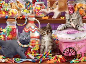 Кошки и сладости