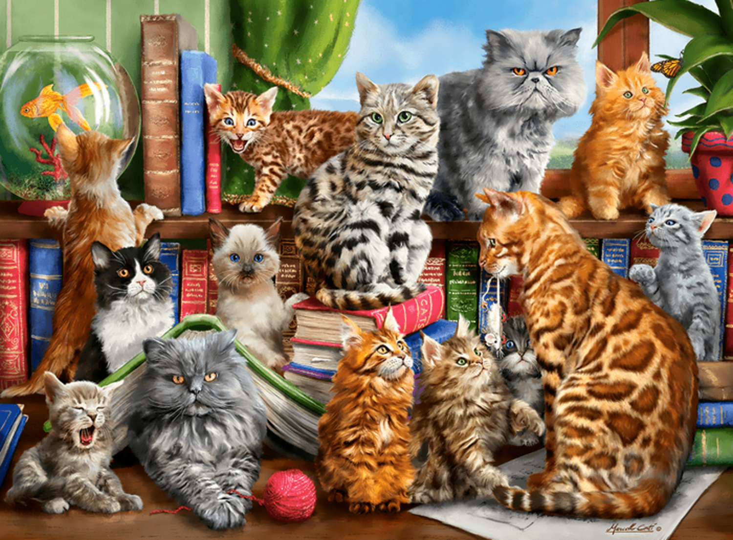 Кошки читатели
