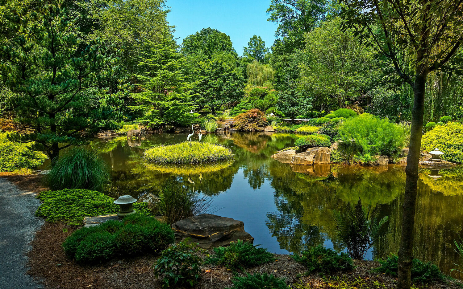 Парк Ботанический сад озеро