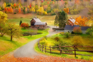 Деревня в красках осени