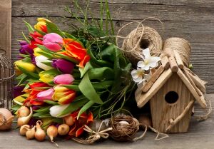 Тюльпаны и домик