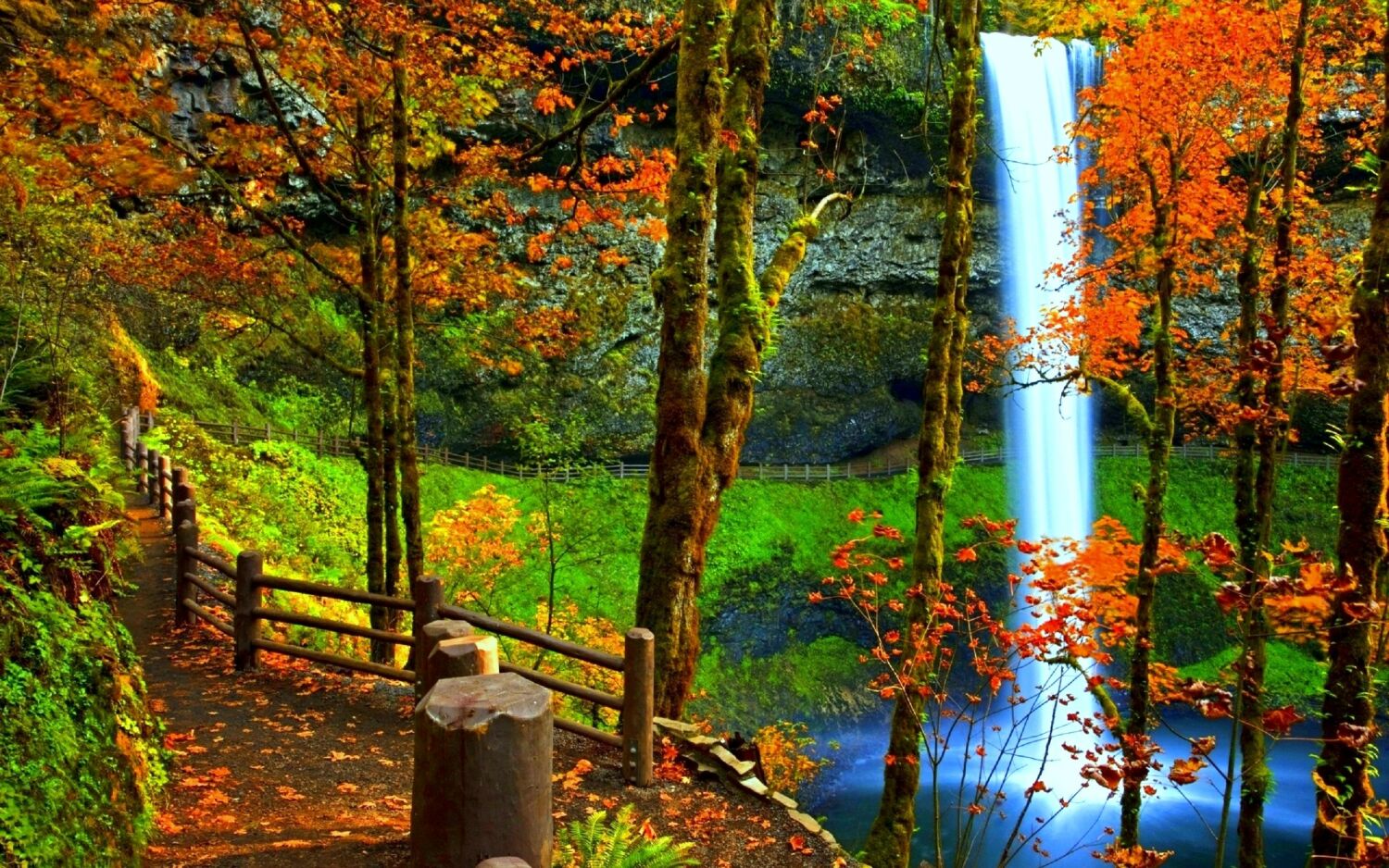 Водопад и осень