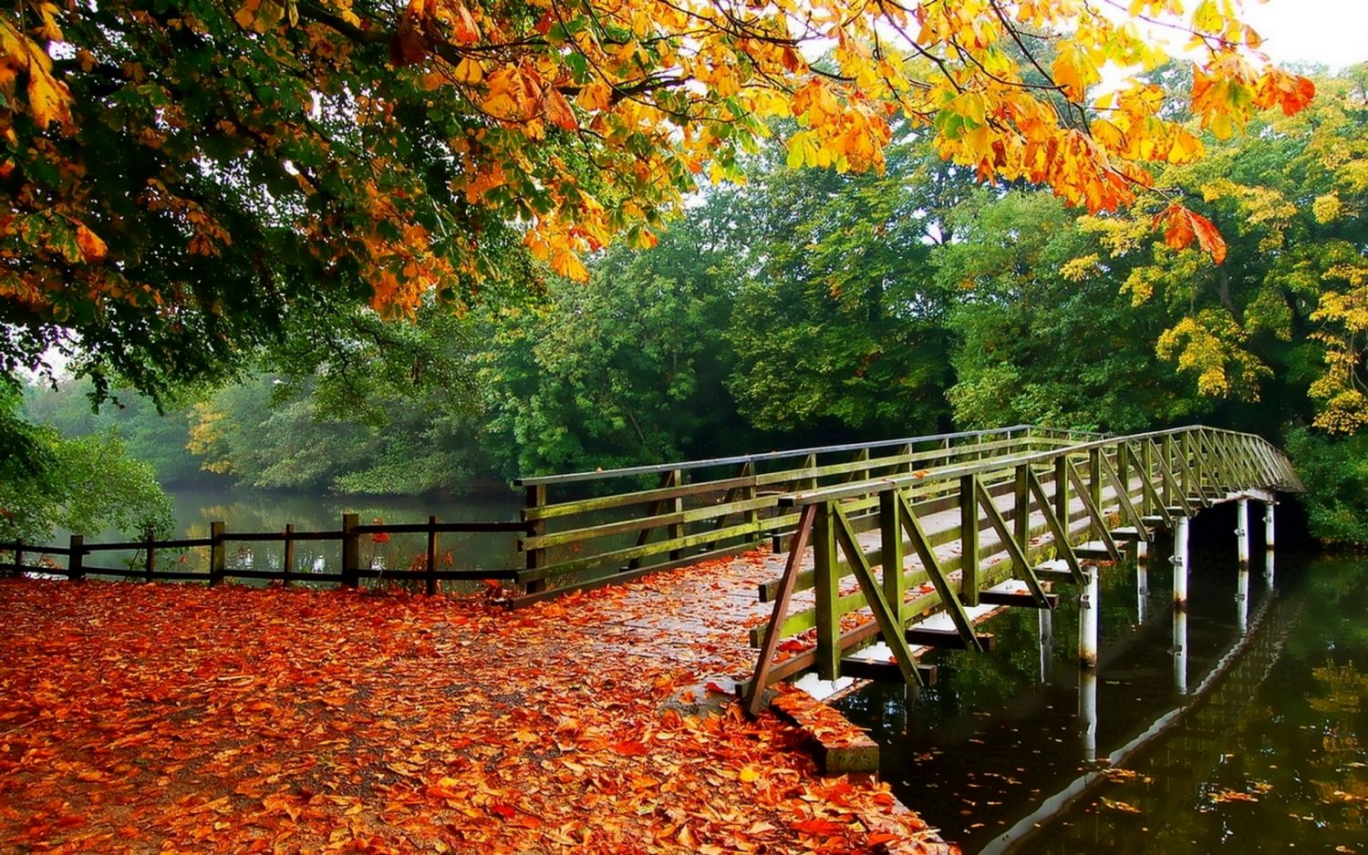 Осень парк мостик