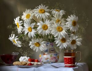 Ромашки и чай