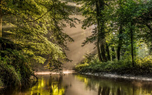 Винтерсвейк