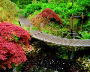 Райский сад в Японии