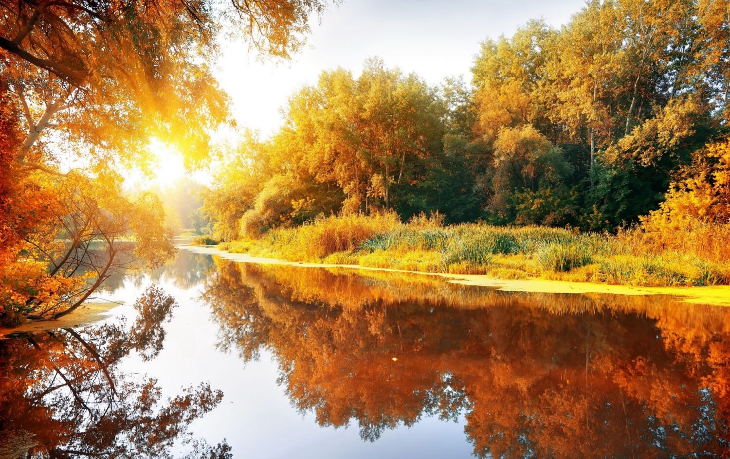 Река и солнечная осень