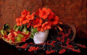 Красные цветы и ягоды