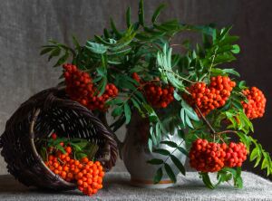 Рябина в букете